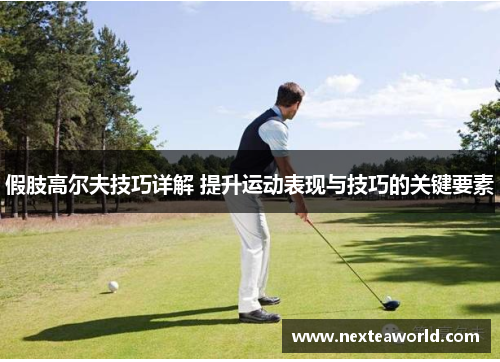 假肢高尔夫技巧详解 提升运动表现与技巧的关键要素