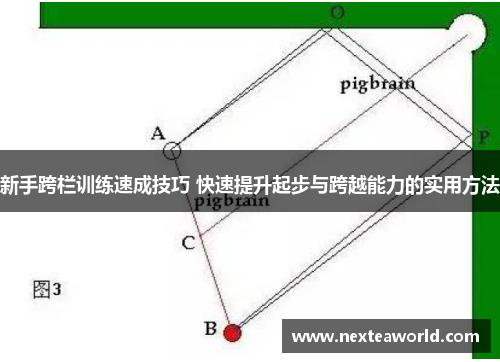 新手跨栏训练速成技巧 快速提升起步与跨越能力的实用方法