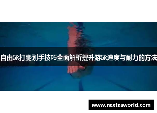 自由泳打腿划手技巧全面解析提升游泳速度与耐力的方法