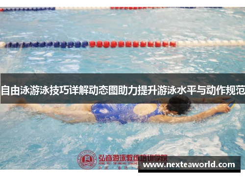 自由泳游泳技巧详解动态图助力提升游泳水平与动作规范