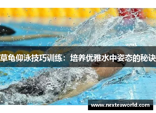 草龟仰泳技巧训练：培养优雅水中姿态的秘诀