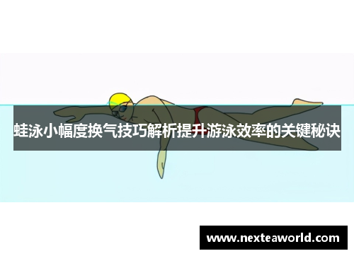 蛙泳小幅度换气技巧解析提升游泳效率的关键秘诀