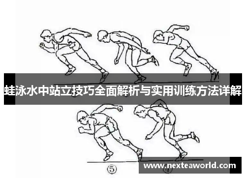 蛙泳水中站立技巧全面解析与实用训练方法详解